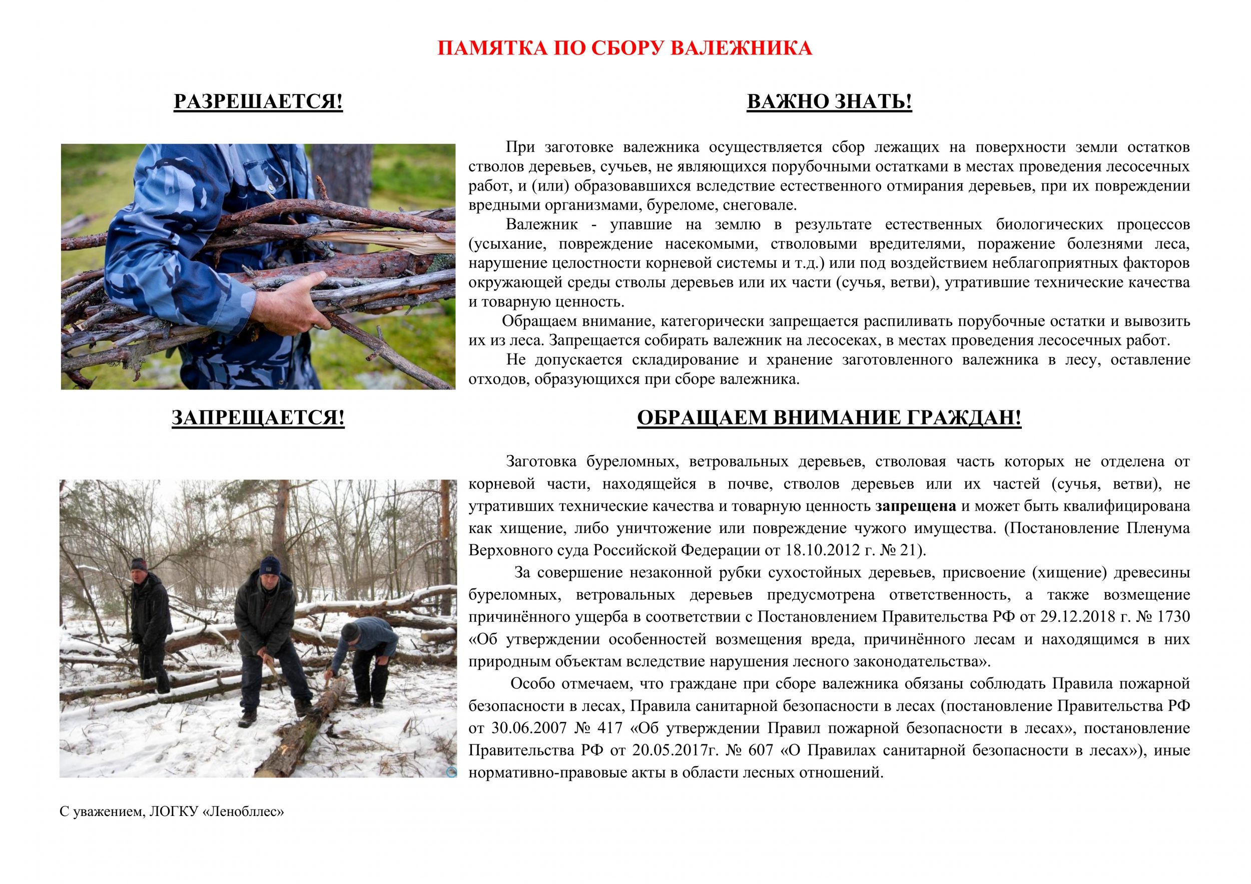 памятка_по_валежнику